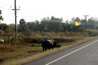 carretera 00